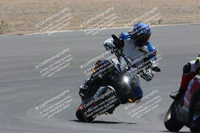 media/Apr-09-2023-SoCal Trackdays (Sun) [[333f347954]]/Turn 10 (115pm)/